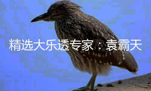 精选大乐透专家：袁霸天、苏香同中一等揽1127万
