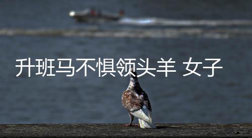 升班马不惧领头羊 女子围甲桃花开战强敌虽败犹荣