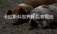 卡拉斯科世界杯后表现抢眼 或继续入选比利时国家队