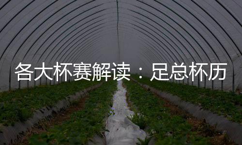 各大杯赛解读:足总杯历史最悠久 西超杯共3场