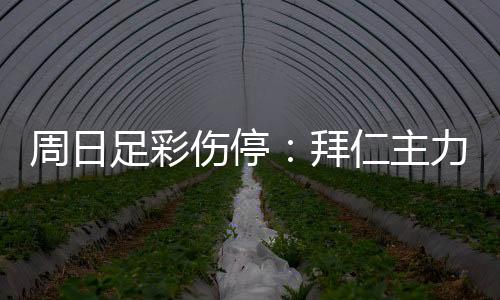 周日足彩伤停：拜仁主力前锋停赛 皇马后防多人伤缺