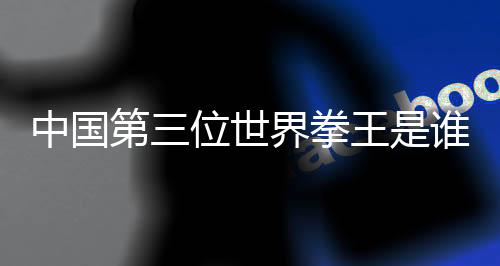 中国第三位世界拳王是谁 徐灿年龄个人资料