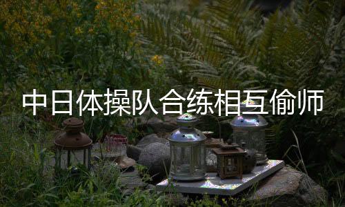 中日体操队合练相互偷师 两国运动员有怎样的感受