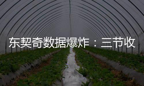 东契奇数据爆炸：三节收下34+11+7 成联盟历史第五人