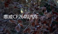 惠威CF260II汽车音响6.5寸主机直推车载同轴喇叭高低音头无损改装