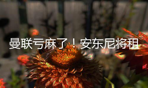 曼联亏麻了！安东尼将租借离队 当初转会费9500万