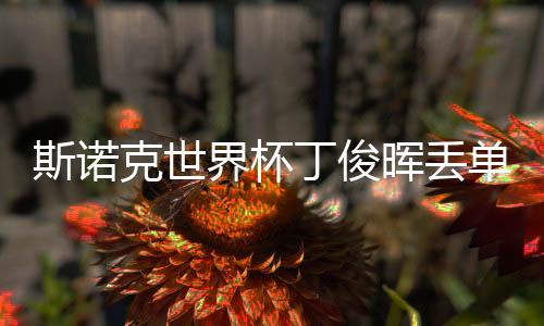 斯诺克世界杯丁俊晖丢单打 中国A队积分仍头名出线