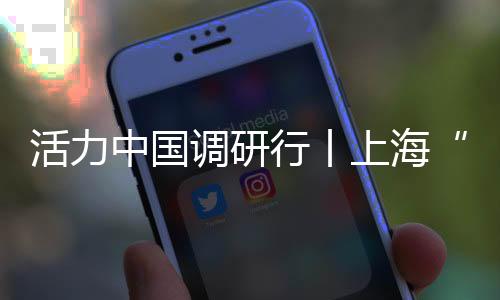活力中国调研行丨上海“引进来”“走出去”双向发力 不断扩大高水平对外开放