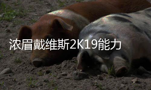 浓眉戴维斯2K19能力值94 考辛斯90唐斯91