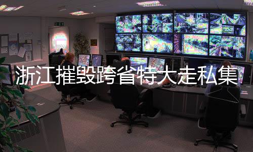 浙江摧毁跨省特大走私集团 斩断伪装渔船背后的走私黑链