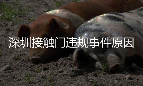 深圳接触门违规事件原因始末 CBA公布最终调查结果