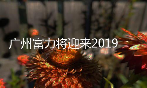 广州富力将迎来2019赛季首场主场比赛 对手是大连一方