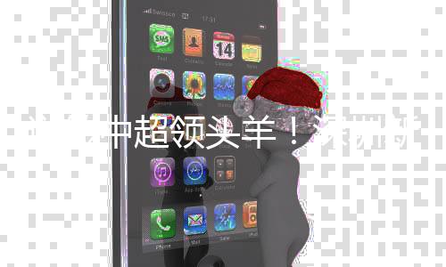 逆转中超领头羊!深圳新鹏城再度阻击上海申花