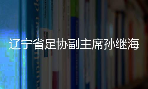 辽宁省足协副主席孙继海当选大连市足协副主席