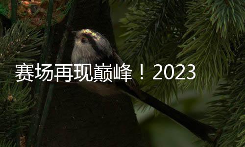 赛场再现巅峰!2023新日电动车携手女超联赛共创新传奇!
