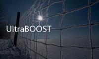 UltraBOOST 19系列跑鞋盛典宁泽涛邓伦现身 宁泽涛2019或复出