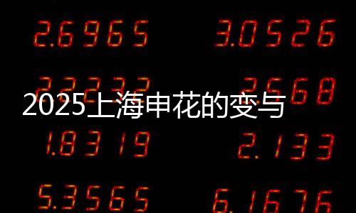 2025上海申花的变与不变 攻防都有问题需要解决